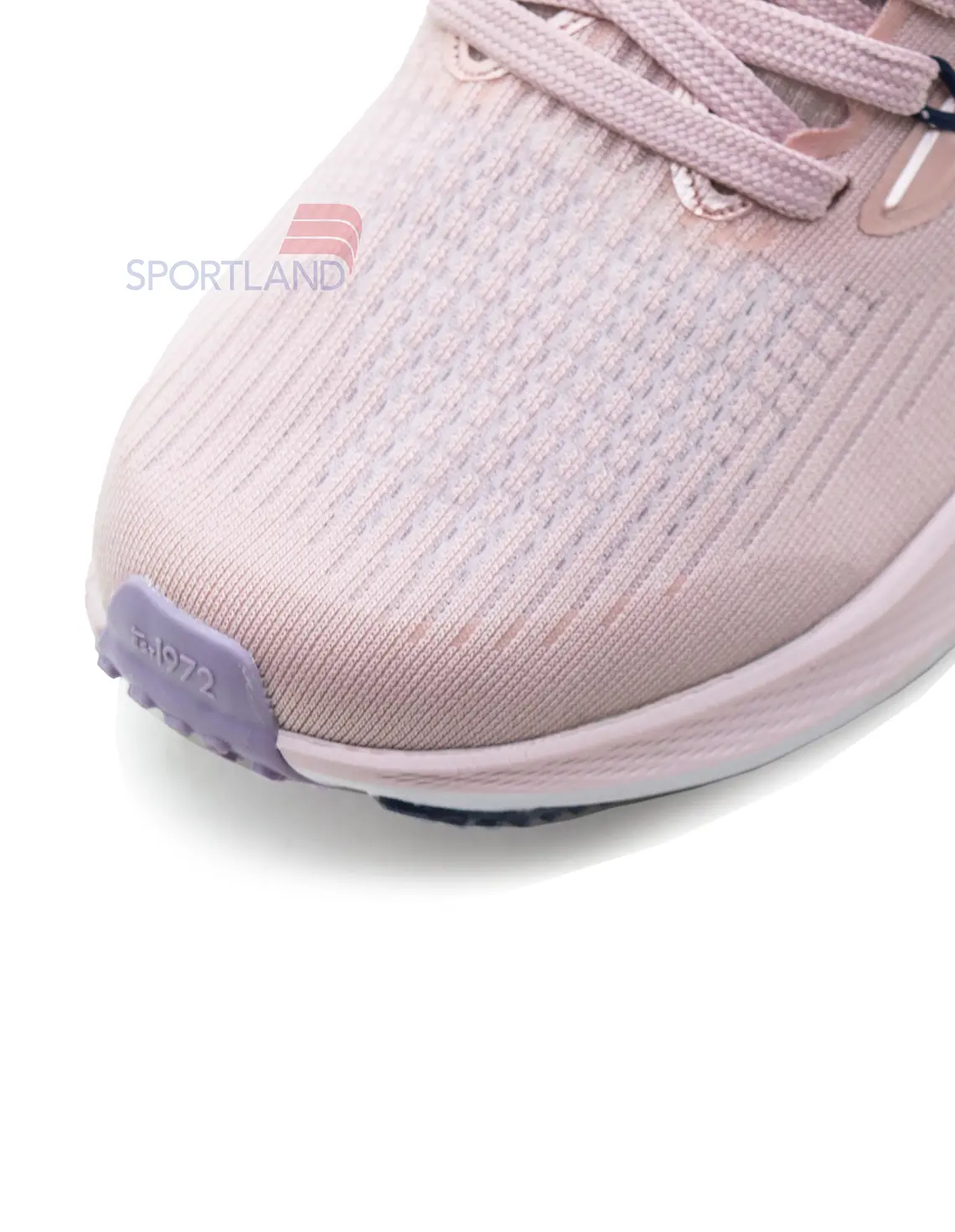 کفش دویدن زنانه نایکی Pegasus 39 FlyEase W