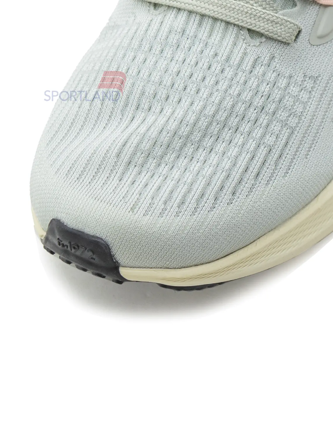 کفش دویدن زنانه نایکی Pegasus 39 FlyEase W