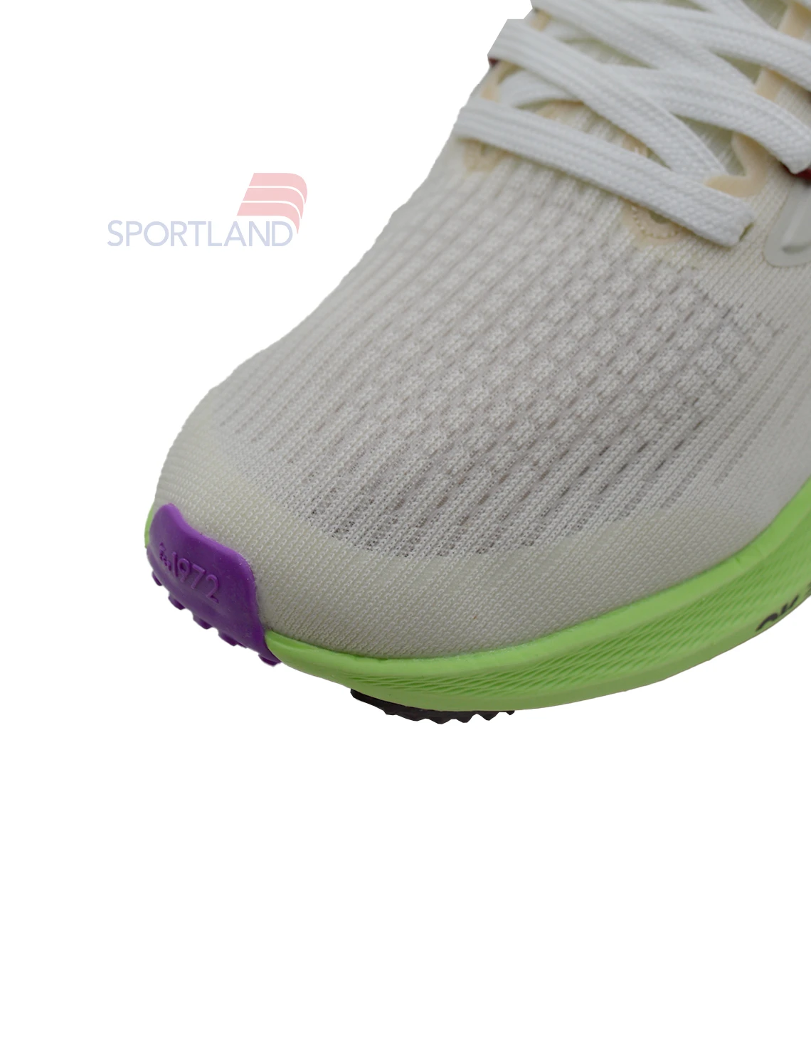 کفش دویدن زنانه نایکی Pegasus 39 FlyEase W