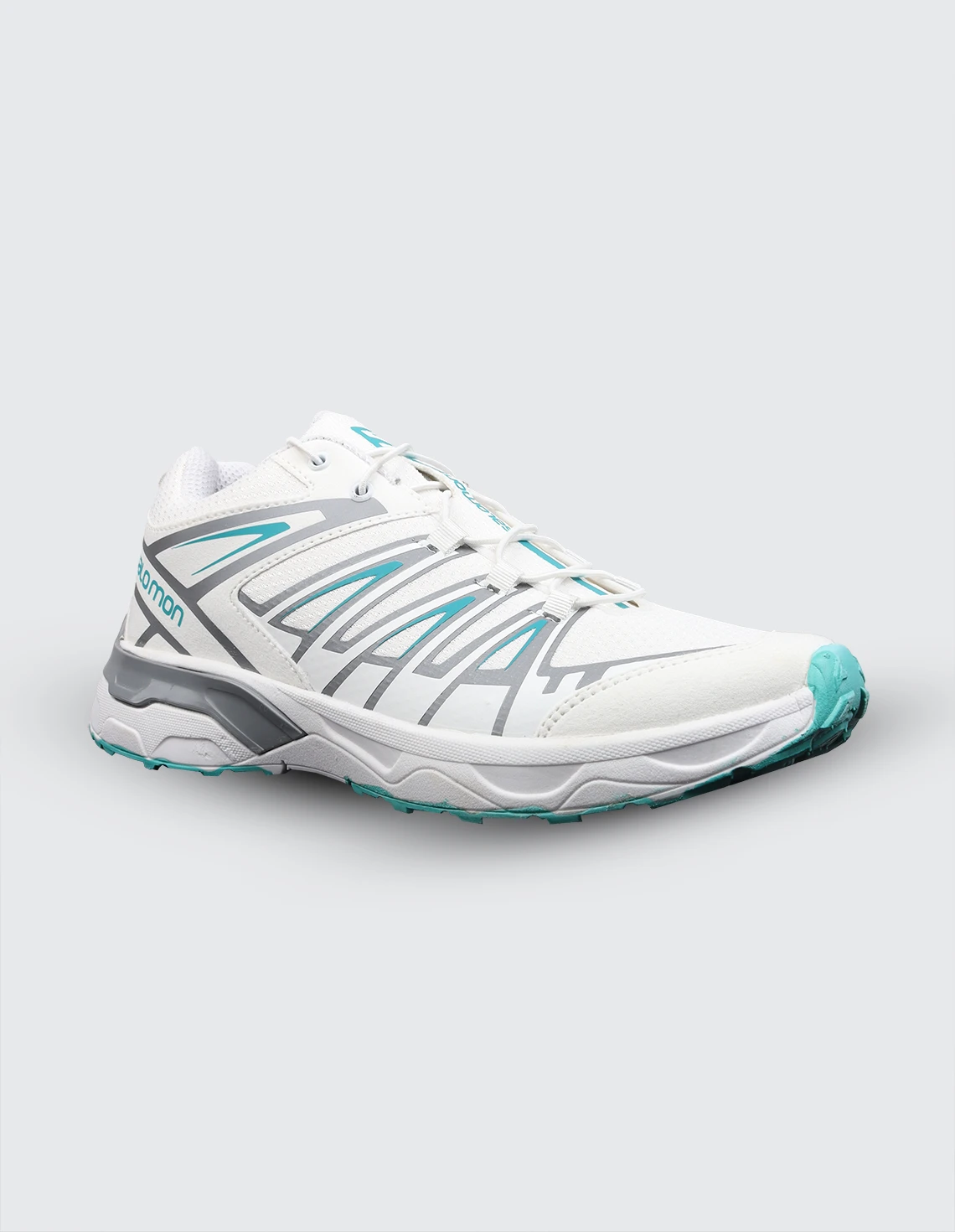 کفش ورزشی زنانه سالامون X Ultra 3 GTX W